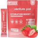 벤처 Pal Sugar Free Electrolyte Powder Packets - Rapid Hydration & Party Recovery 용 액체 일일 IV 음료 믹스 | 5 비타민 & 7 일 전동| Keto Friendly | Non-GMO | 인증 Vegan | 16 스틱