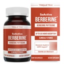 SoActive Berberine 550mg : 9.6X 고 흡수, 임상적으로 장식, 최적화 된 Phytosome | 지원 메타볼리즘 및 AMPK 활성화 | 비 GMO, Soy-Free | 임상 검증 된 복용량 | 60 인