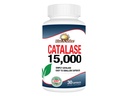 Rise-N-Shine Catalase 보충교재 15,000 - 강한 머리 지원을 위한 강력한 산화 방지제 효소 - 30의 캡슐