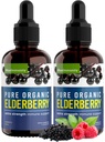 유기농 Elderberry Syrup, 60 일 공급, 면역 지원을위한 검은 액체 드롭, Sambucus Elderberry Syrup - 아이 & 성인을위한 액체 추출물 드롭 - 추가 강도 (2 팩)