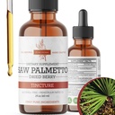 Saw Palmetto Tincture | 프리미엄 알코올 무료 초본 추출물 톱 팔로메 열매 | 액체 식물 보충 | 전통 초본 공식 | 미국에서 만든 - 2 oz (60 ml)