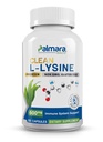 팔마라 건강 클렌징 L-Lysine 600mg, 120 캡슐 | Vegan, Non-GMO, & 글루텐 무료