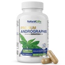 자연적인 치료 실험실 프리미엄 Andrographis Paniculata 추출물 100mg를 가진 1,200mg Immune & 소화 지원, 비 GMO, 글루텐 자유로운, 초본 규정식 보충교재를 위한 Andrographolides Vegan 캡슐