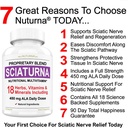 Sciatic Nerve 기복 지원 보충교재 450 mg 알파 Lipoic 산 - 더 낮은 뒤, Hip, Lumbar, Thigh, 다리, 발을 위한 1개의 최고 공식에서 18 - 제일 자연적인 Sciatic Nerve 기복 지원 - 90의 캡슐
