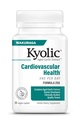Kyolic Aged 마늘 추출물 공식 250의 심장 혈관