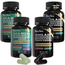 모든 제품 Shilajit와 바다 Moss 번들 - 90 카운트 - 바다 Moss, 블랙 씨 오일, Ashwagandha, Ginger & Shilajit, Rhodiola Rosea, 모든 1 보충제 (2 Pc)