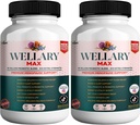 Wellary 최대 Menopause 지원 보충교재, 40 Billion CFU Probiotic 혼합, 90의 캡슐 (2)