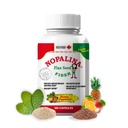 Nopalina 섬유 공식 | 120 캡슐 | Flax Seed, Psyllium, Oat 및 Wheat Bran, 오메가 3, 6 & 9 | Gut Health & Regularity | 본래