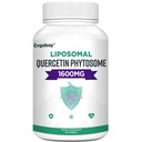 Orgabay Liposomal Quercetin Phytosome 1600 mg, Bromelain 200mg, Zinc 30mg, 비타민 C 심황 40 mg, 가장 높은 흡수, Quercetin Complex, 60 Softgels