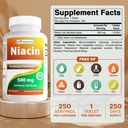 최고의 자연 Niacin 500mg 250 타블렛 - 또한 호출 비타민 B3 (250 개)