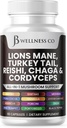 Lions Mane 보충교재 Cognitive 지원, 터키 꼬리 20in1 버섯 Reishi Cordyceps Chaga를 가진 면역력