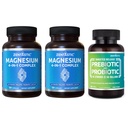 Zentastic 2 팩 4-in-1 마그네슘 복합 단지 - 킬레이트 마그네슘 글리세라이드, 말레이트, 타우레이트 & Lactate & 1 팩 Probiotics & Prebiotics 보충