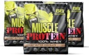 COLOSSAL LABS 근육 Whey Protein flavored Protein Powder, 25,000mg Amino Acid/Serving, 냉간 필터링 (포장 월병) (15 파운드 (포장 3), 땅콩 버터)