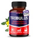 Tribulus Terrestris 98 % Saponins - Yohimbine, Red Panax Ginseng, Boosting Energy, Stamina & Endurance *와 12-in-1 공식을 강화했습니다. 미국