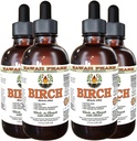 Birch 알콜 자유로운 액체 추출물, Birch (Betula Alba) 말린 Bark 글리세리티 하와이 Pharm 자연적인 초본 보충교재 4x4 oz