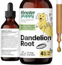 개를위한 영원히 Puppy Dandelion 뿌리 드롭 - 대형, 중간 및 작은 개를위한 액체 간 건강 보충 - Liver Cleanse Detox Drops w/Dandelion Root Extract - 4 oz