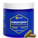 Cordyceps 버섯 캡슐 - 1000mg Cordyceps 추출물 & 125mg Yerba Mate 추출물 - 100% 과일 몸 버섯 보충교재 - 지원 뇌 에너지 & Cognitive 성과 - 60 Yerba Mate 캡슐
