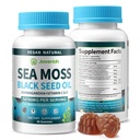 Vegan Ashwagandha Sea Moss Gummies - 블랙 씨 오일, 비타민 C & D Immune 지원, 소화, 1 번에 산화 방지제 13, 바다 Moss Chlorophyll 고급 강도 공식 2Pack 120 Gummies