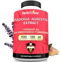 Nutrivein 프리미엄 Fadogia Agrestis 및 Turkesterone과 Tongkat Ali 보충 - 1100 mg - 120 모자 - 성능, 강도 및 모든 연령의 남성 및 여성을위한 Synergistic 혼합