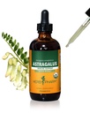 허브 제약 인증 유기 Astragalus 액체 추출 Immune 시스템 지원 - 4 Ounce