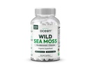 유기 바다 야생 바다 Moss 캡슐 - 유기 염소 바다 Moss, Bladderwrack 및 비타민 D 에너지, Lung 건강 및 여성과 남성을위한 갑상선 지원 - 60 캡슐