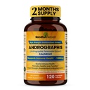 SANDHUHERBALS Sandhu 초본 Andrographis Paniculata Kalmegh Immune와 Liver 건강 지원| 120 채식 캡슐, 2 개월 공급|Ayurvedic Herbal Vegetarian Supplement Complex