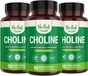Nested Naturals Choline Bitartrate 500mg | 고출력 콜린 보조제 | 고분자 기능 지원 | 100% Vegan & Non-GMO | (3-Pack)