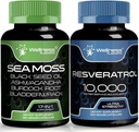 WELLNESS LABSRX Resveratrol 캡슐