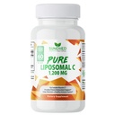 순수한 Liposomal 비타민 C - 1200mg 면역 체계 & 교원질 건강 승압기, 도움 노화 방지 피부 비타민, 나트륨 아스코르브산염, 해바라기 Lecithin, Lypo Spheric - 60의 캡슐