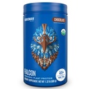 BIRDMAN Falcon Vegan Protein Powder Organic, Stevia & Sugar Free, Plant Based Protein, Low Carb, Dairy Free, Keto, Non Whey Protein, Probiotic, Pea Protein | 초콜릿 맛 - 18 서빙 - 1.32lb