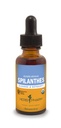 허브 Pharm은 정화 및 해독을위한 유기 Spilanthes 액체 추출물 - 1 Ounce