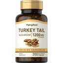 배관 락 터키 꼬리 버섯 캡슐 1200mg | 200 알약 | Coriolus Versicolor | 초본 추출물 보충교재 | Non-GMO, 글루텐 무료