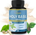 유기 Cadane Holy Basil 보충제 캡슐, Guduchi, Ginger, Turmeric Curcumin, Licorice와 5in1 - 3 개월 동안 90 캡슐 지원