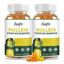 (120 PC) Lungs Detox– Mullein 잎 추출물 Quercetin, Respiratory & Immune 지원을 위한 Elderberry, 호흡 & 덩어리 Cleanse, Smokers, Vegan, 파인애플 맛, (2 팩)