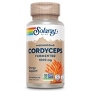 SOLARAY Fermented Cordyceps 버섯 1000 mg - 건강한 에너지 지원 - 향상된 흡수를위한 발효 - Vegan, Non-GMO, Lab Verified - 30 서빙, 60 VegCaps