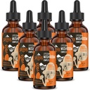 Liposomal 버섯 복잡한 하락 2000 MG - 20 유기 버섯 추출물 - Immunity, Cognitive 및 기억을 위한 진보된 액체 공식 - 사자 Mane 보충교재, Reishi, Cordyceps, Chaga, 180의 서빙