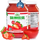 Wildcrafted Irish Sea Moss Gel | 미국에서 제작 | 비타민과 미네랄이 풍부한 | 바다 Moss Gel Raw | 영양 보충 | 딸기 (16 oz)