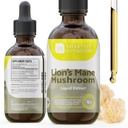 Lions Mane Extract - Lions Mane Tincture - Made in USA - 메모리, 초점 및 Clarity를위한 버섯 보충 - 매일 버섯 보충 - 4 Fl oz.