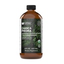 유기 Chanca Piedra 농축물 & 추출물 8oz - Phyllanthus Niruri - 자연적인 액체 돌 & 쇄석기 Tincture