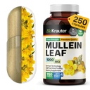 BIO KRAUTER Mullein 캡슐 1200 mg 250 조사 - Lungs - 125 공급의 일 - Lung Cleanse & Respiratory 지원 보충교재 - 충전물 없음, 비 GMO