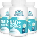 Liposomal NAD+ 보충교재 1000 mg | 가장 높은 NAD Pontecy | 최대 흡수 | 순수한 NAD 보충교재 | 에너지와 DNA 수선, 노후화, 뇌 기능 | 180 Softgels
