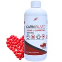Bricker Labs CARNIBLAST 액체 L 카르니틴 3000mg, 프리미엄 L 카르니틴 Carnipure, 에너지 영양, 에너지 보충 및 에너지 부스터, 라즈베리, 16 fl oz