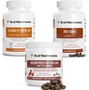 Real Mushroom Reishi & Cordyceps for Humans & Mushroom Pet Relax Chews - Relaxation, Energy & Immunity - Vegan, Non-GMO, Gluten-Free, 곡물 무료 버섯 추출물 보충제
