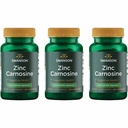 Swanson 아연 Carnosine (PepZin GI) - 천연 보충 가스 건강 및 소화 지원 촉진 - Stomach의 Microbial Balance 지원 - (60 캡슐) (3 팩)
