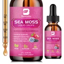 Sea Moss Liquid Drops - Burdock Root, Bladderwrack, Elderberry, 비타민 C, D3, 6X Stronger Seamoss Gel을 함유 한 유기농 블랙 씨 오일 아일랜드어 Sea Moss Gel - Vegan