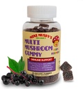 Mini Mushy's Organic Immune Support Daily Gummies | 터키 꼬리, Reishi, Chaga Mushrooms, Elderberry | 어린이 연령 2 + 자연 색상, 알레르기 친화적 인, 낮은 설탕 | 딸기 맛 - 30 개