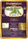 Veena Biotic Bhumi Amla 분말 (Phyllanthus Niruri) Bhoomi Amla 분말 - Bhuiamlaki 분말 - 100gm