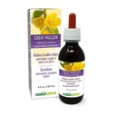 Naturalma Great Mullein 또는 Common Mullein (Verbascum thapsus) 꽃과 잎 알코올 - 무료 Tincture - 드롭 4 fl oz 액체 추출물 - 초본 보충 - Vegan