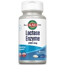 KAL Lactase 효소 250 mg의 Lactose Intolerance를 위한 건강한 소화 지원, Soy, 250 FCC 단위, 30 봉사, 60 SoftGels 없는 만드는 액체 채워진 ActivGels