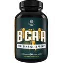 분지 사슬 아미노산 보충교재 - Vegan BCAA 정제 포스트 운동 근육 회복과 근육 성장 지원 - 남자와 여자 운동 회복을 위한 분지된 사슬 아미노산 보충교재 120 조사